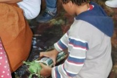 phoca_thumb_l_IMG_0383